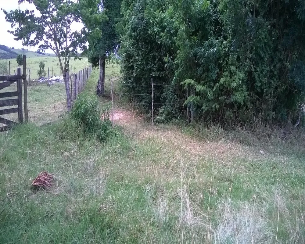 Fazenda - Foto 4