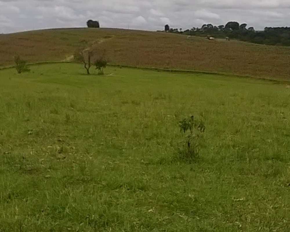 Fazenda - Foto 7