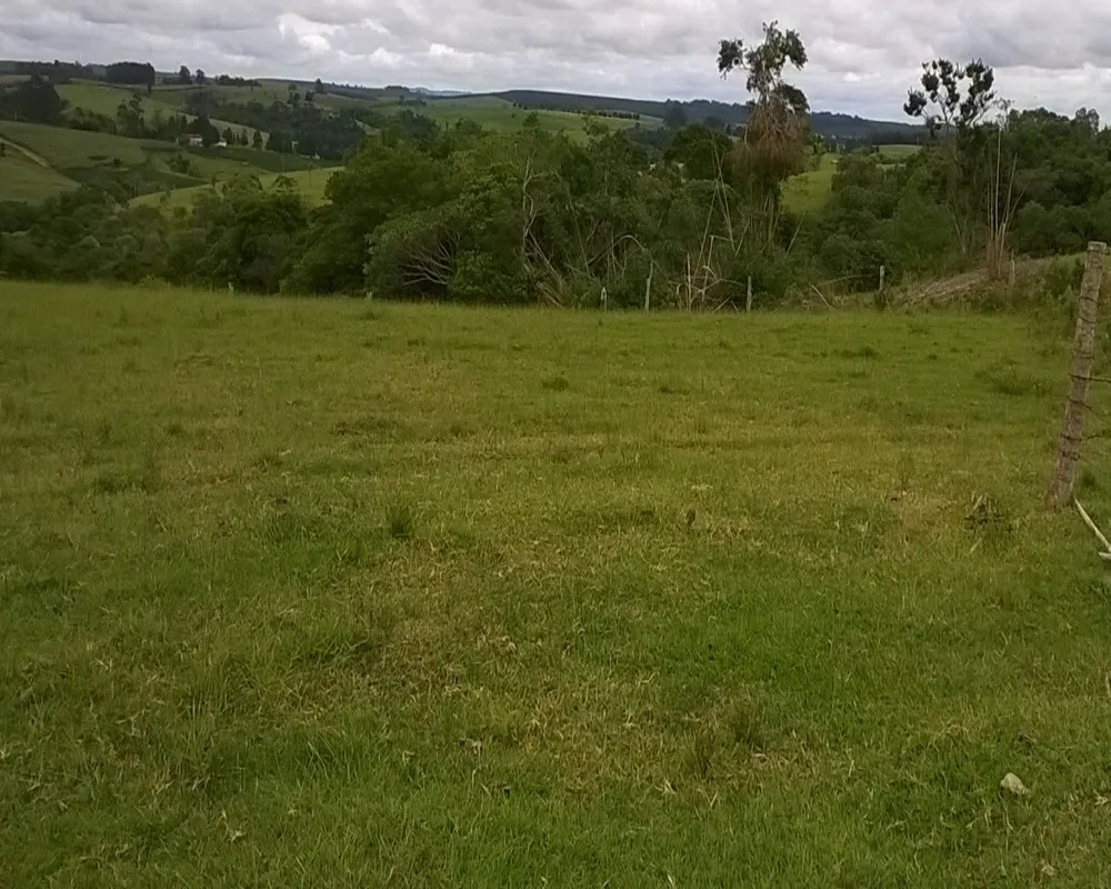 Fazenda - Foto 8
