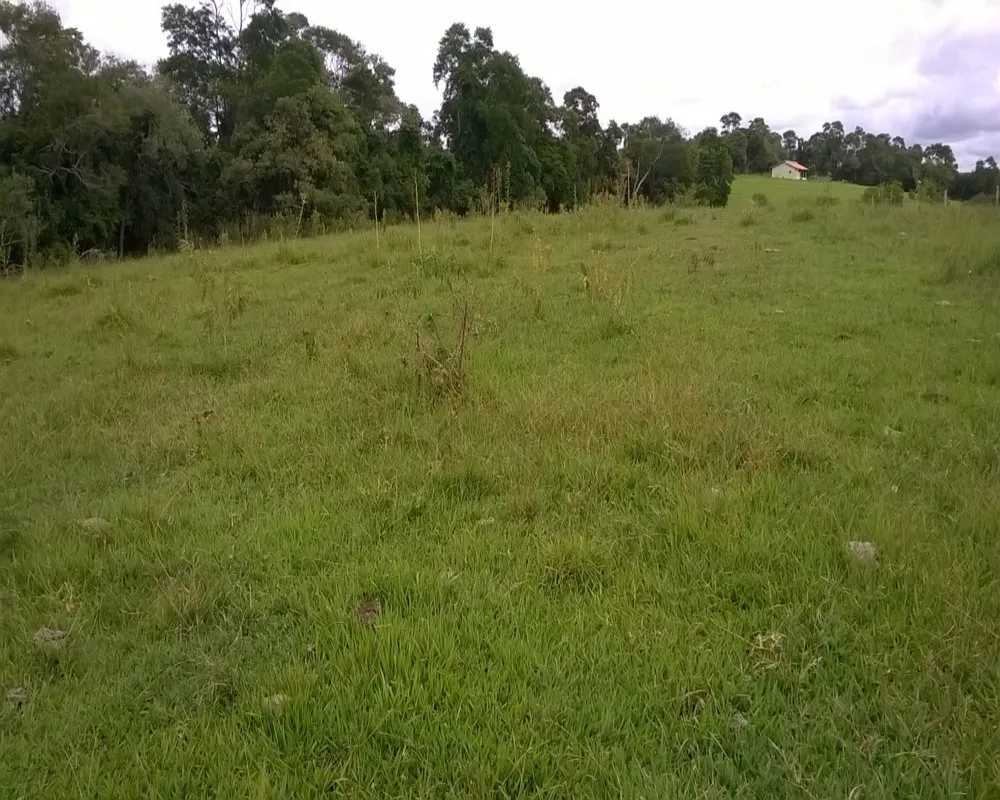 Fazenda - Foto 3