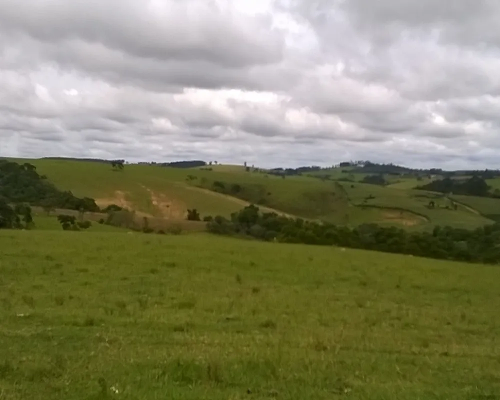 Fazenda - Foto 1