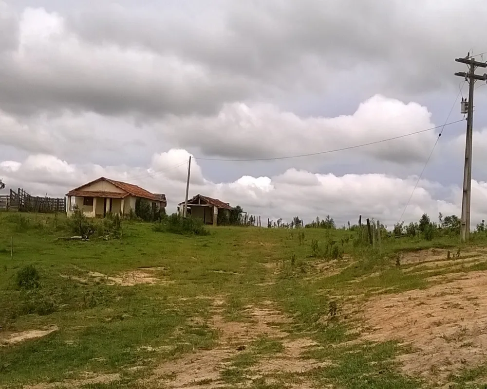 Fazenda - Foto 6