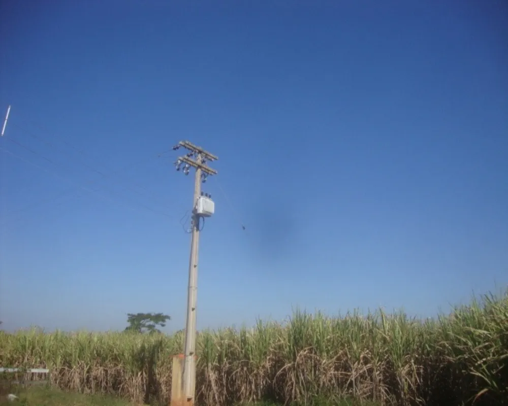 Fazenda - Foto 5