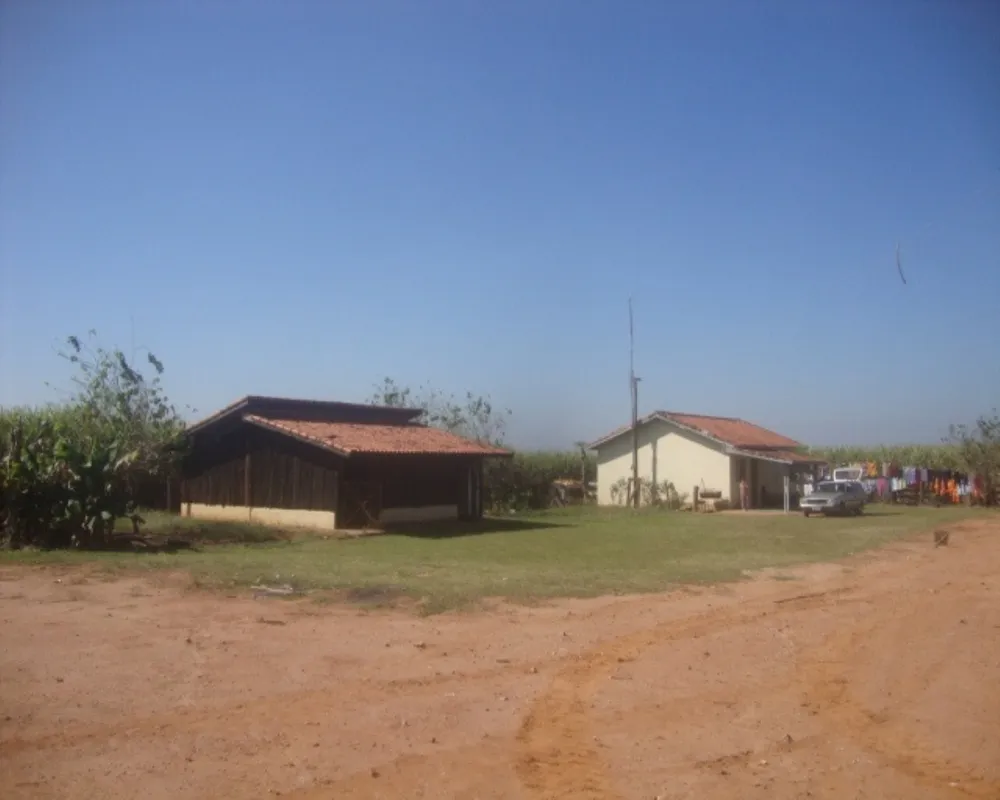 Fazenda - Foto 4