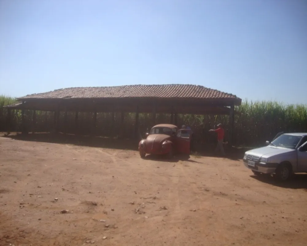 Fazenda - Foto 7