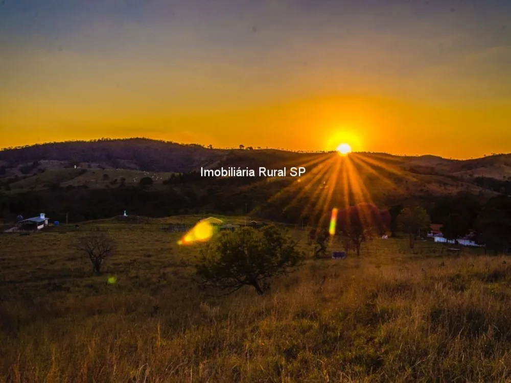 Fazenda - Foto 8