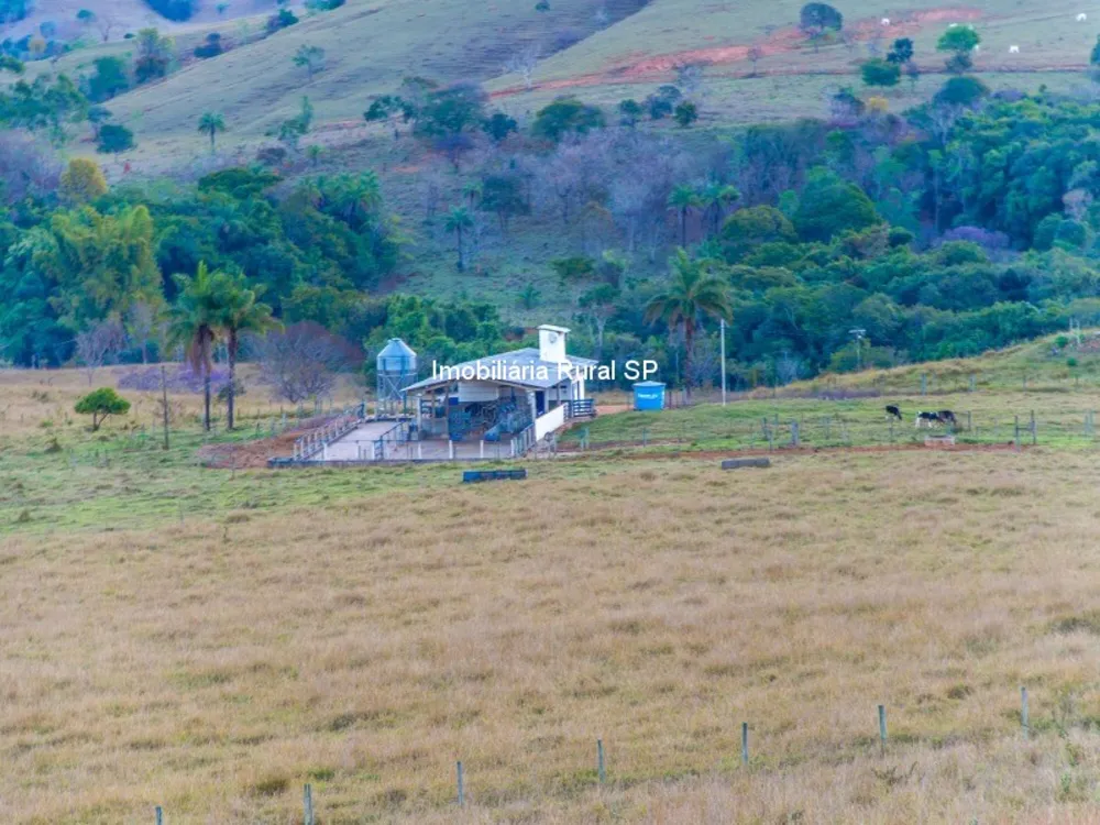 Fazenda - Foto 7