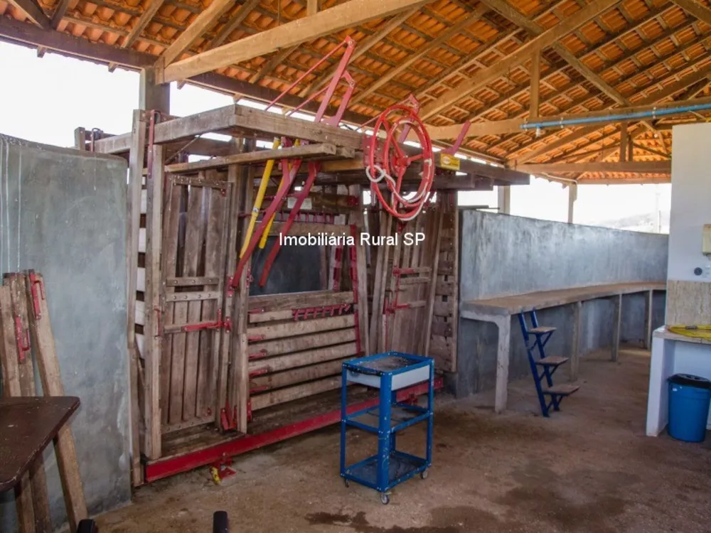 Fazenda - Foto 27