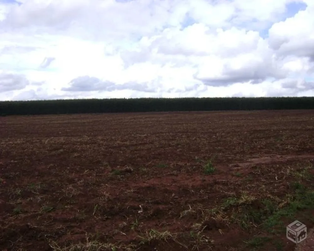 Fazenda - Foto 4