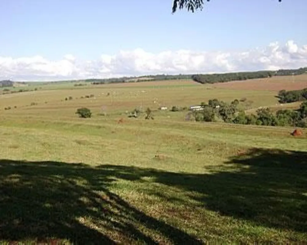 Fazenda - Foto 8