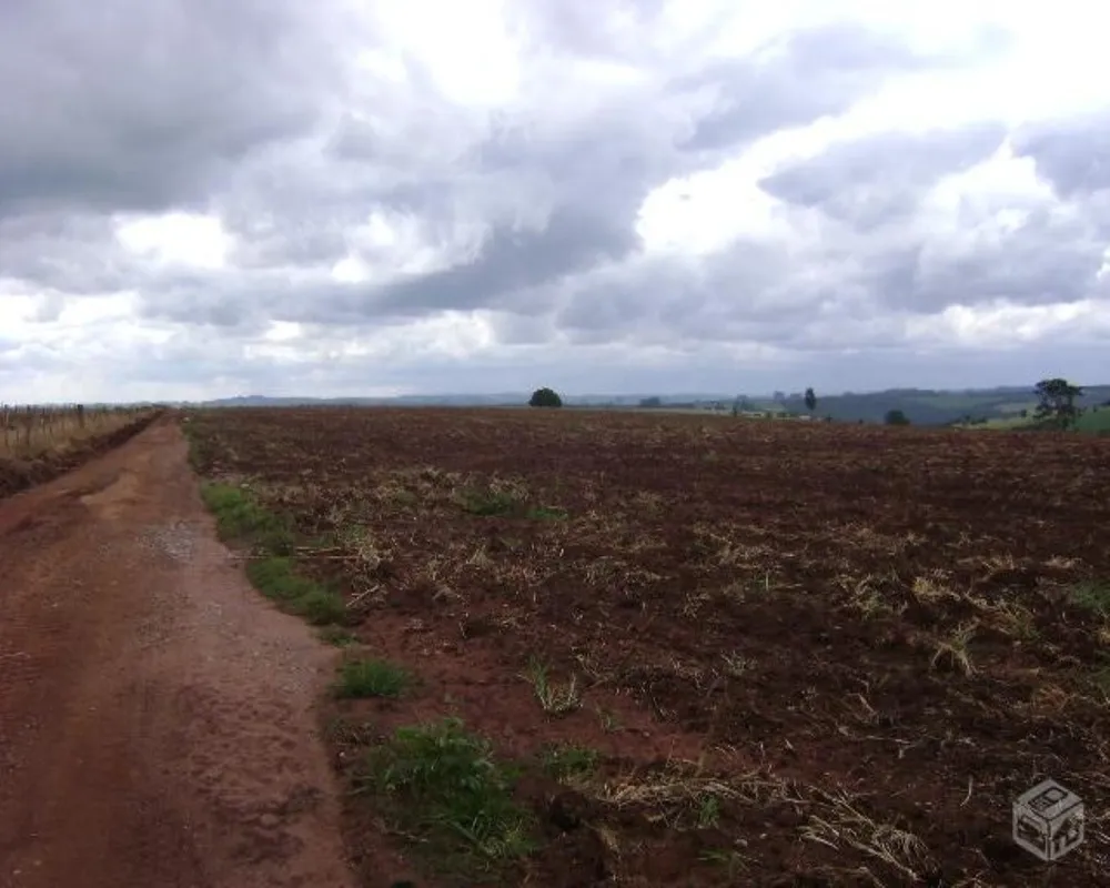 Fazenda - Foto 2