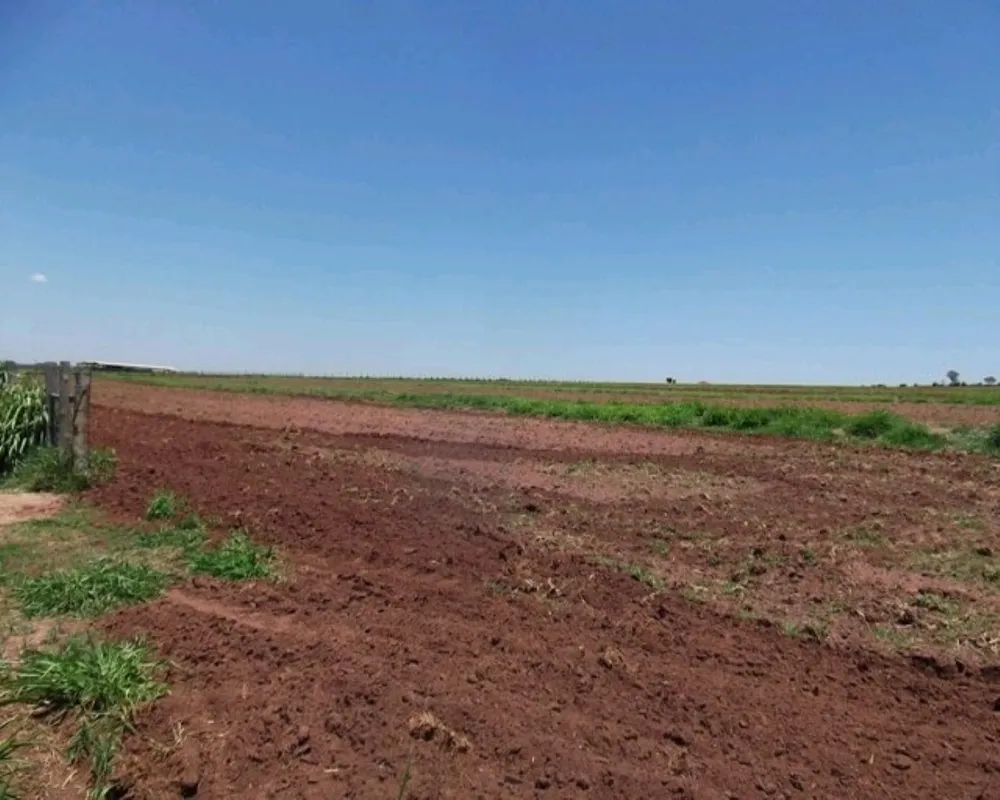 Fazenda - Foto 5