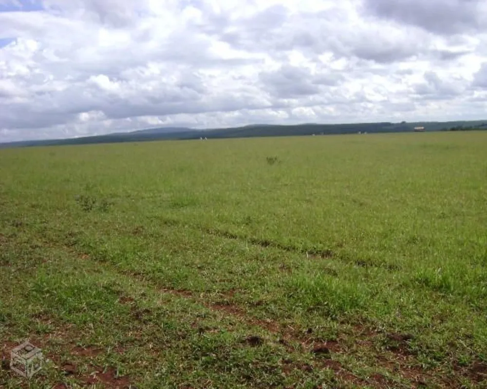 Fazenda - Foto 7