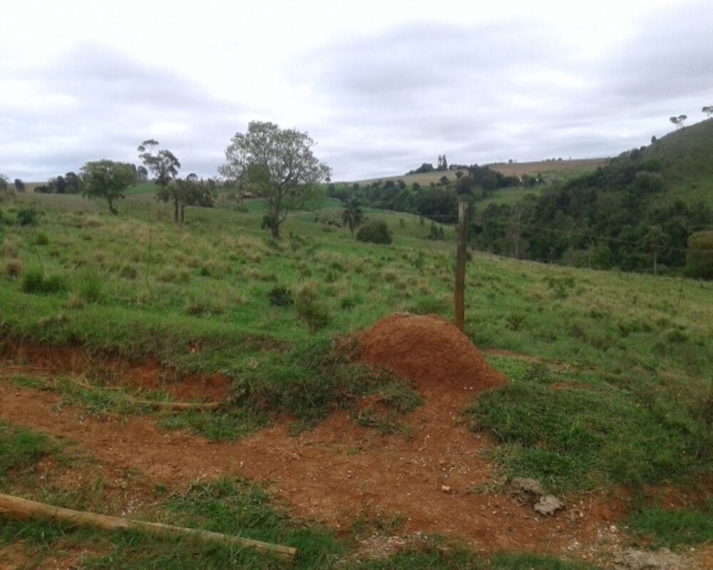 Fazenda à venda - Foto 3