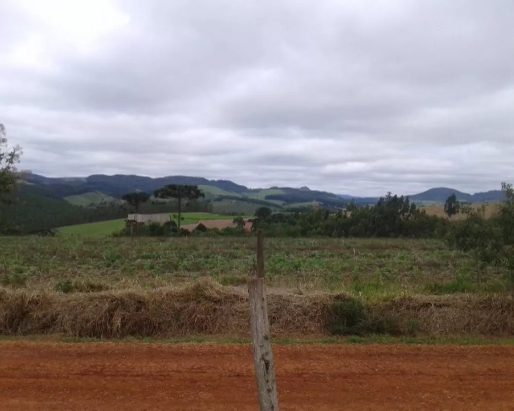 Fazenda - Foto 3