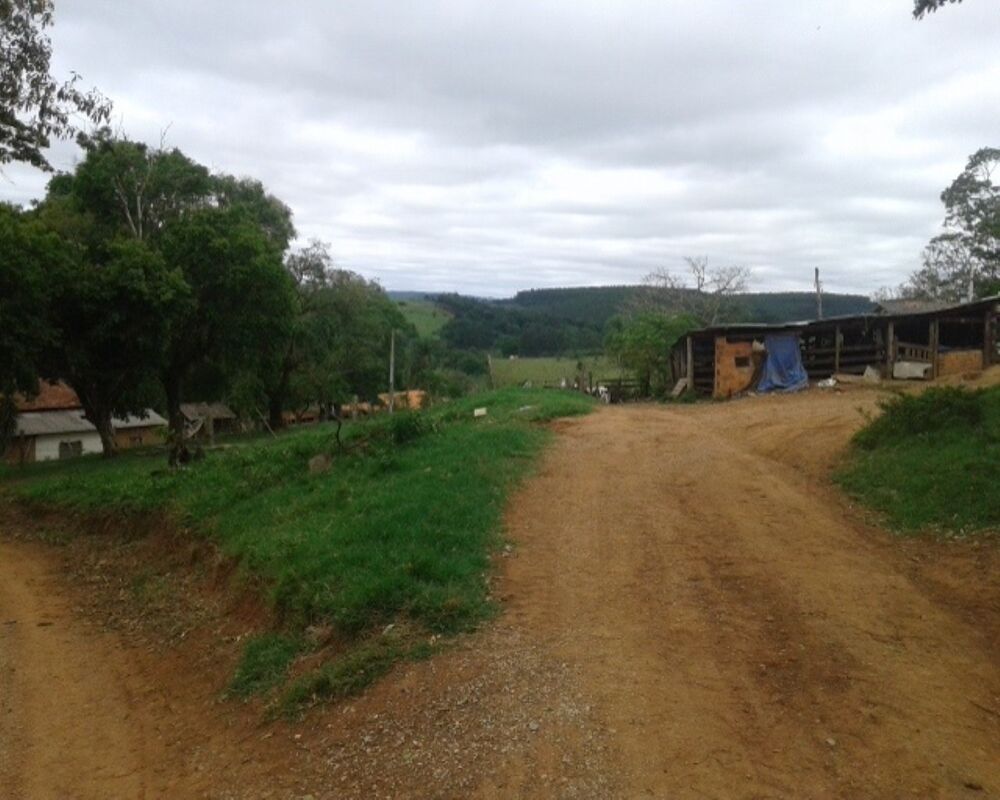 Fazenda à venda - Foto 4