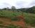 Fazenda-Sítio-Chácara - Foto 3