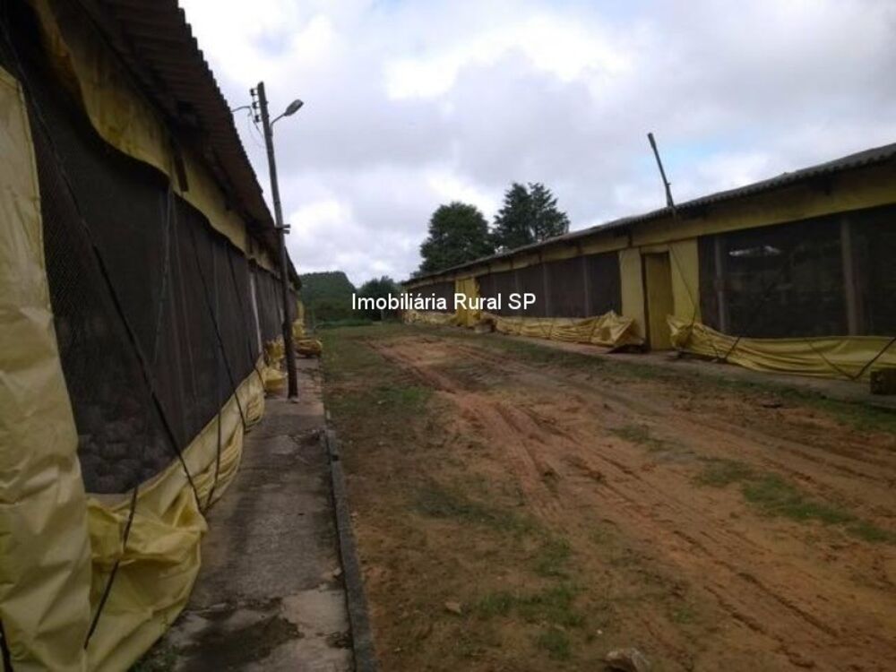 Sítio à venda - Foto 8