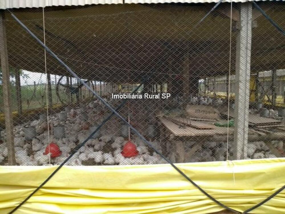 Sítio à venda - Foto 3