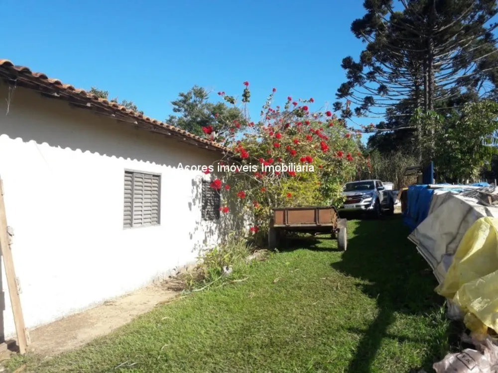 Sítio - Foto 21
