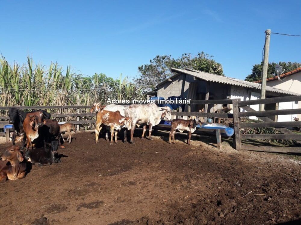 Sítio à venda - Foto 1