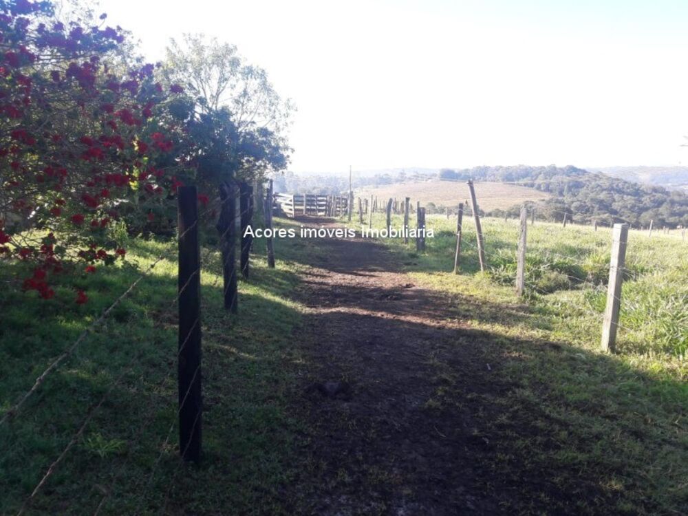 Sítio à venda - Foto 11