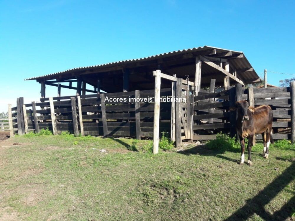 Sítio à venda - Foto 4