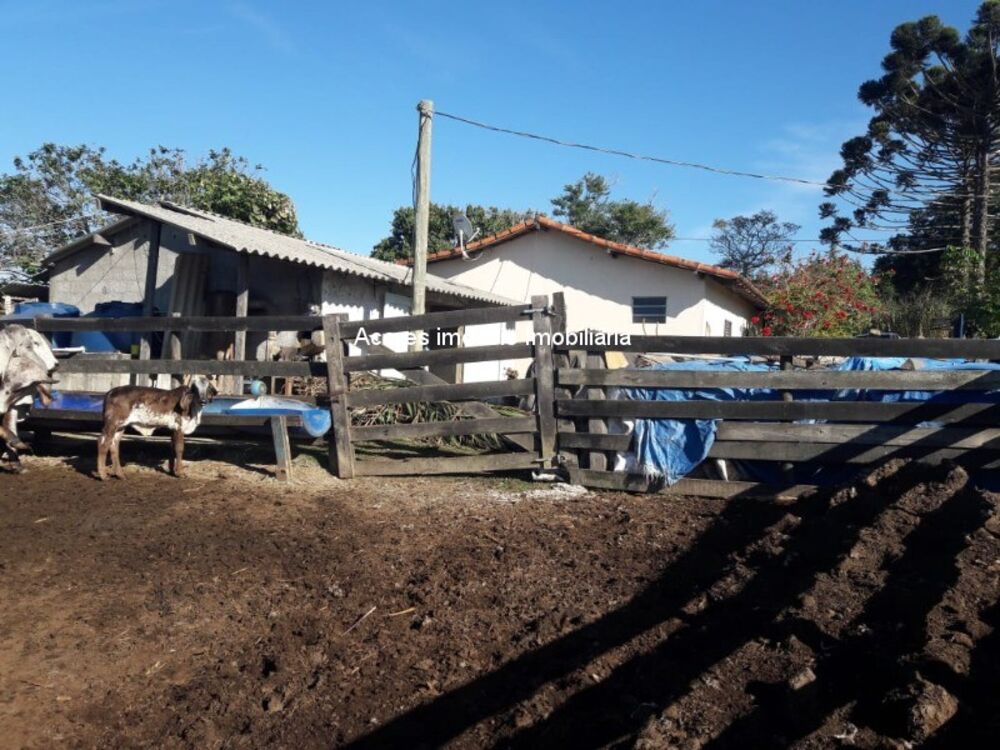 Sítio à venda - Foto 12