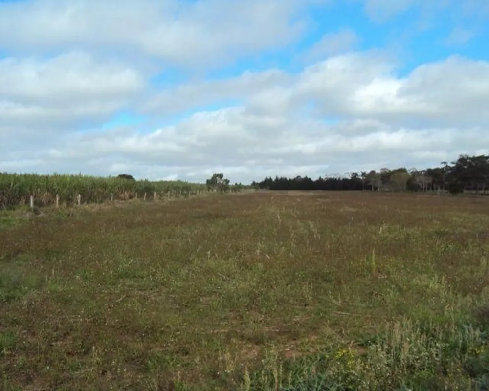 Fazenda - Foto 7