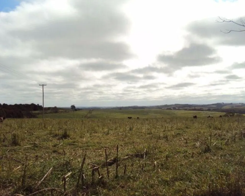 Fazenda - Foto 2