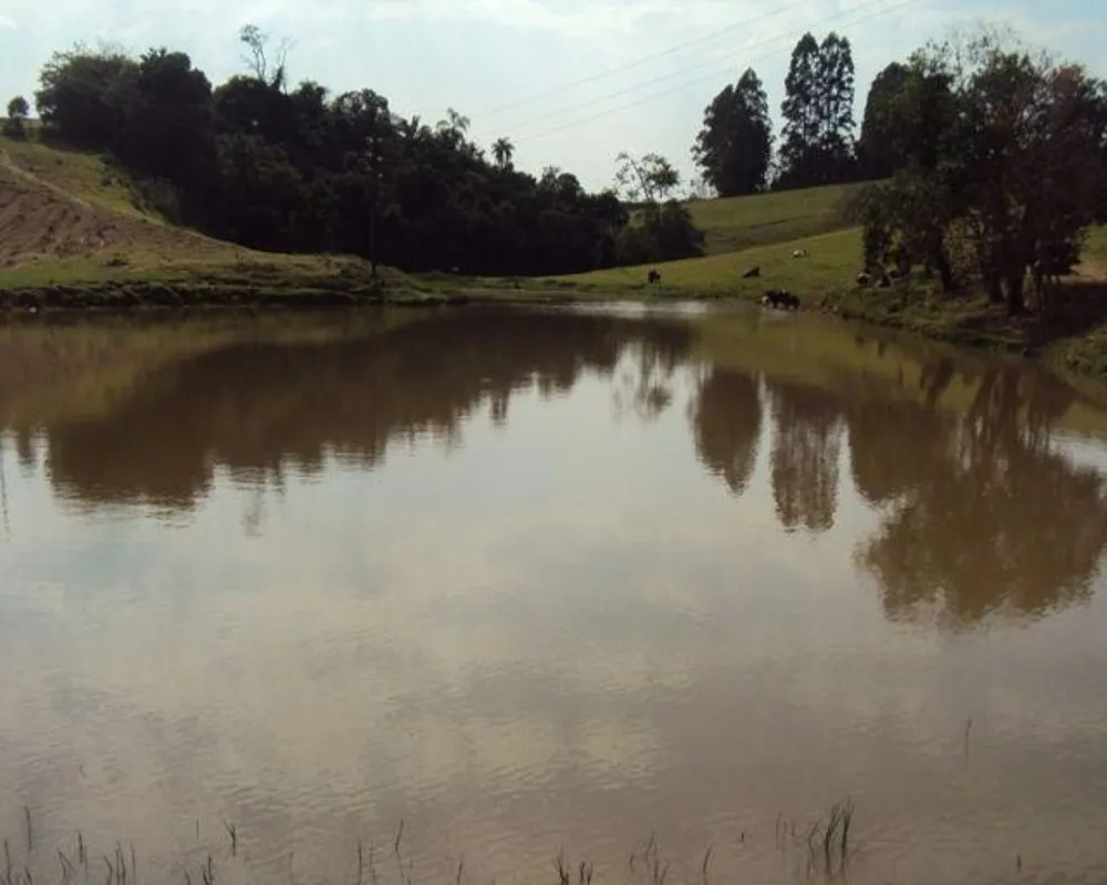 Fazenda - Foto 3