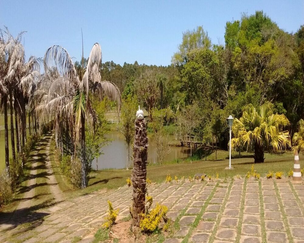Sítio à venda - Foto 8