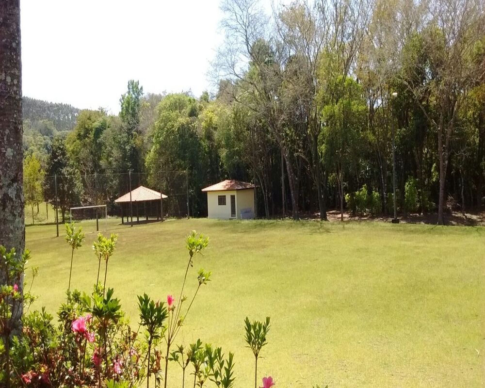 Sítio à venda - Foto 7