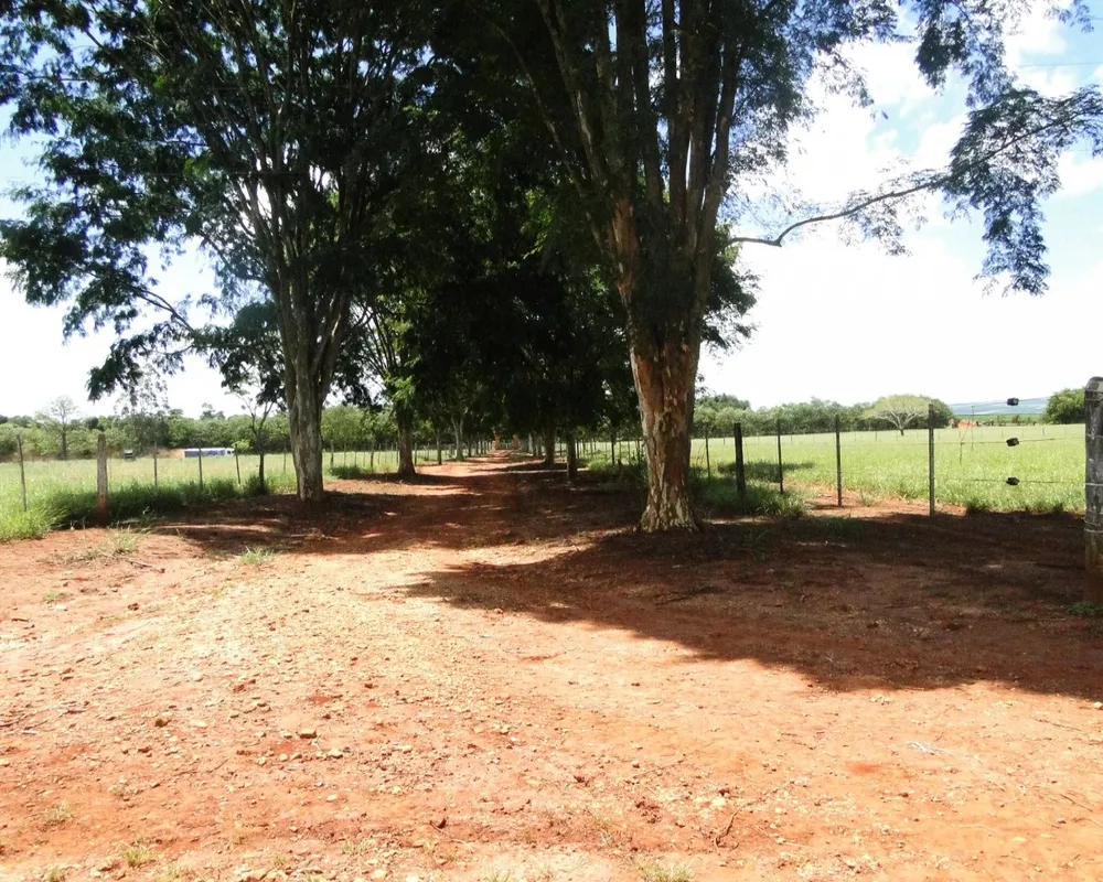 Fazenda - Foto 6