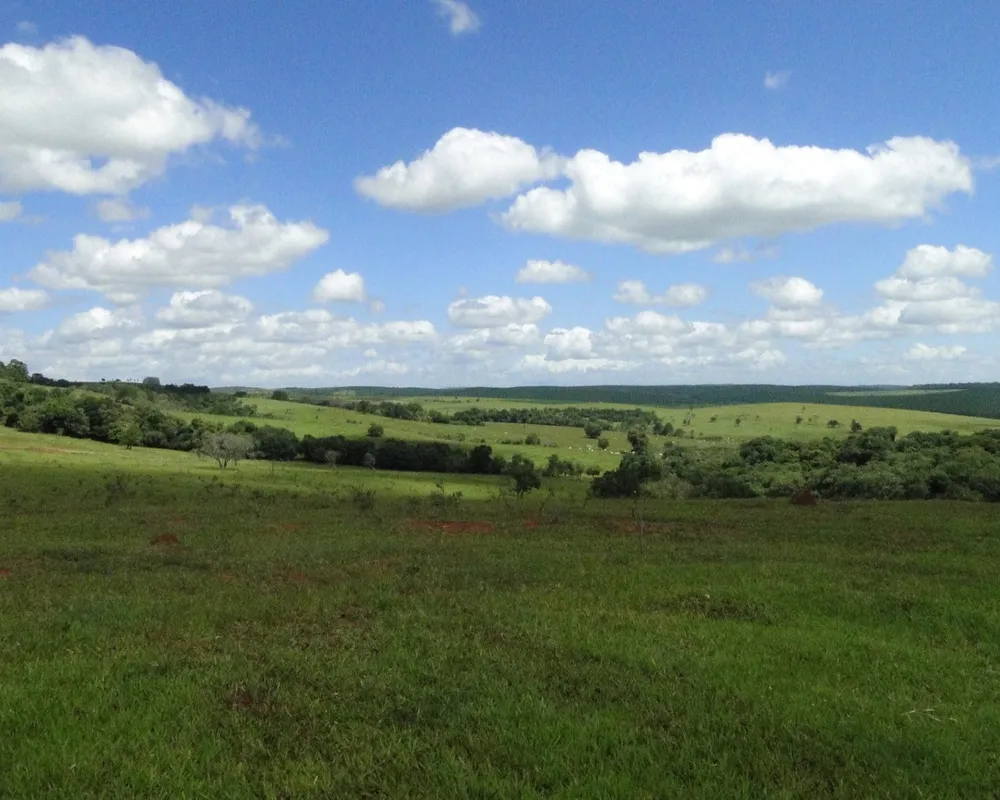 Fazenda - Foto 7