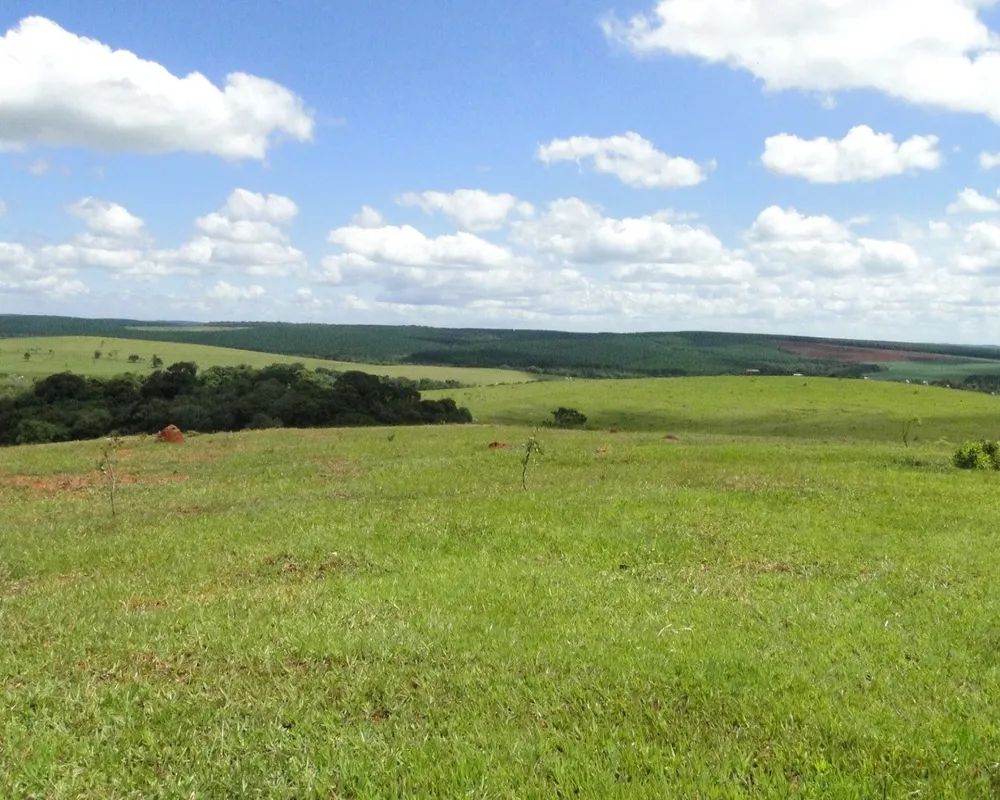 Fazenda - Foto 1