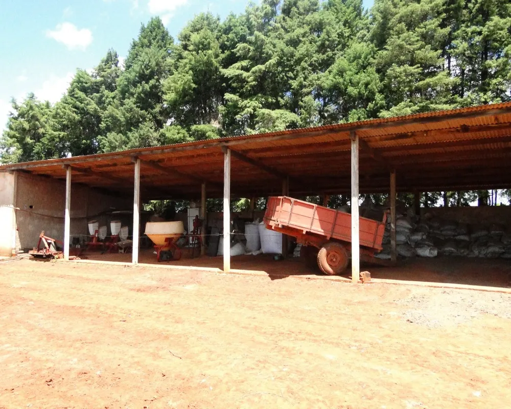 Fazenda - Foto 3