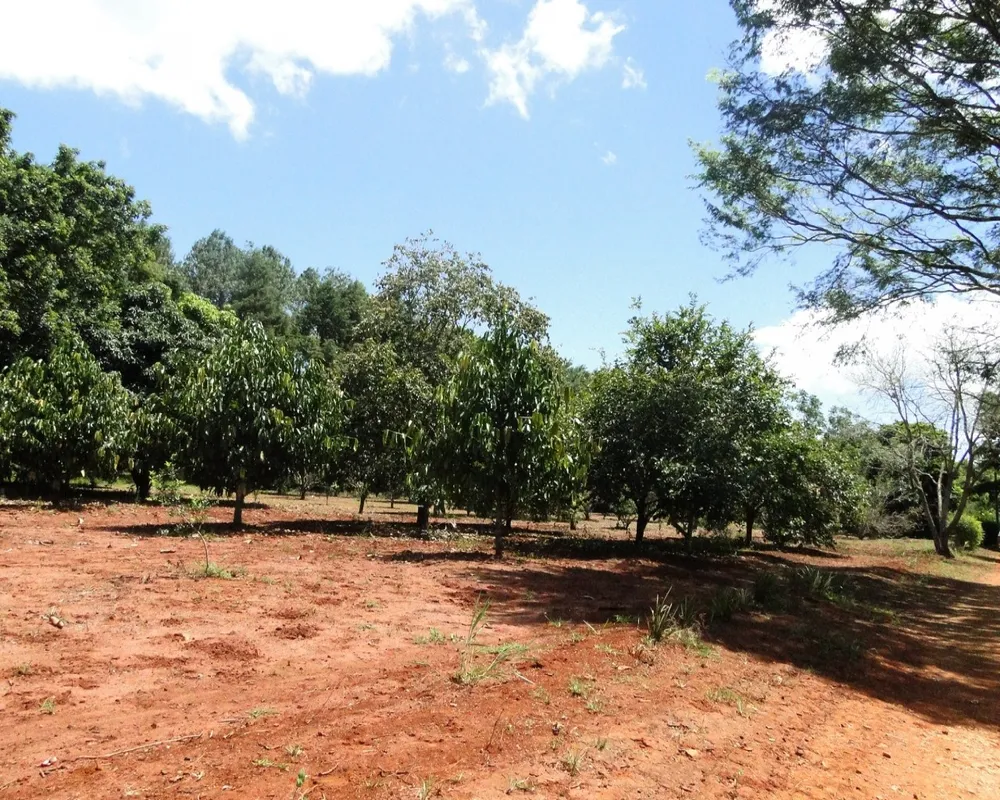 Fazenda - Foto 5
