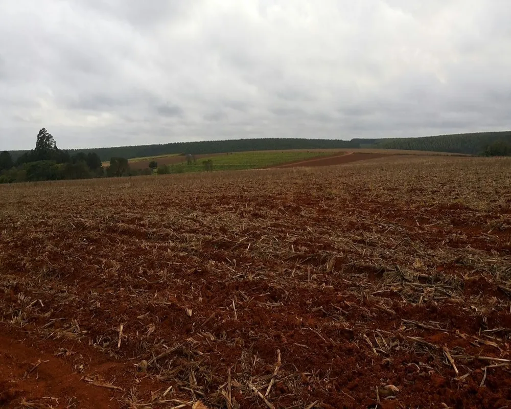 Fazenda - Foto 7