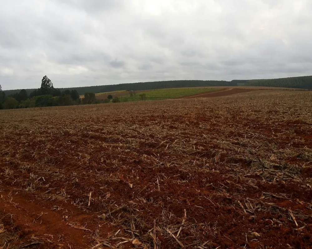 Fazenda - Foto 4