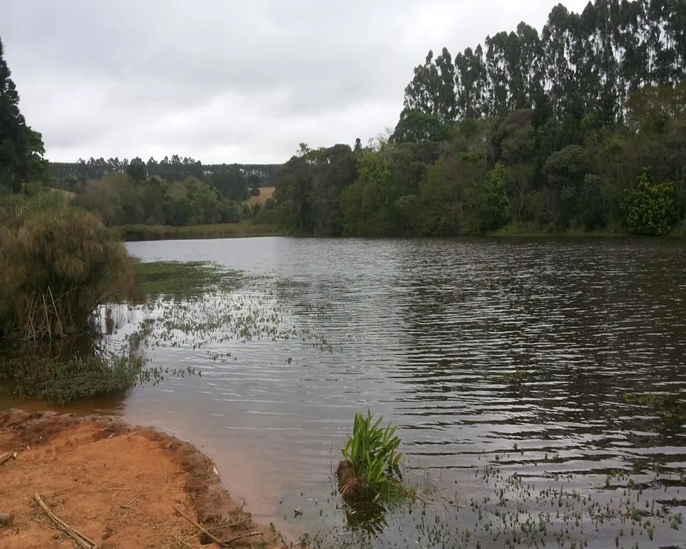Fazenda - Foto 3