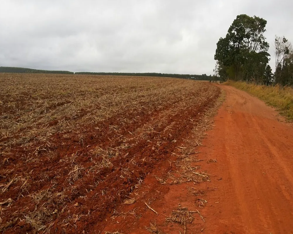 Fazenda - Foto 1