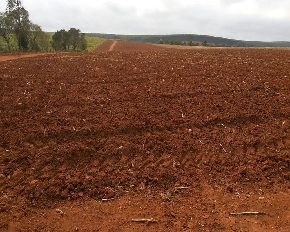 Fazenda - Foto 8