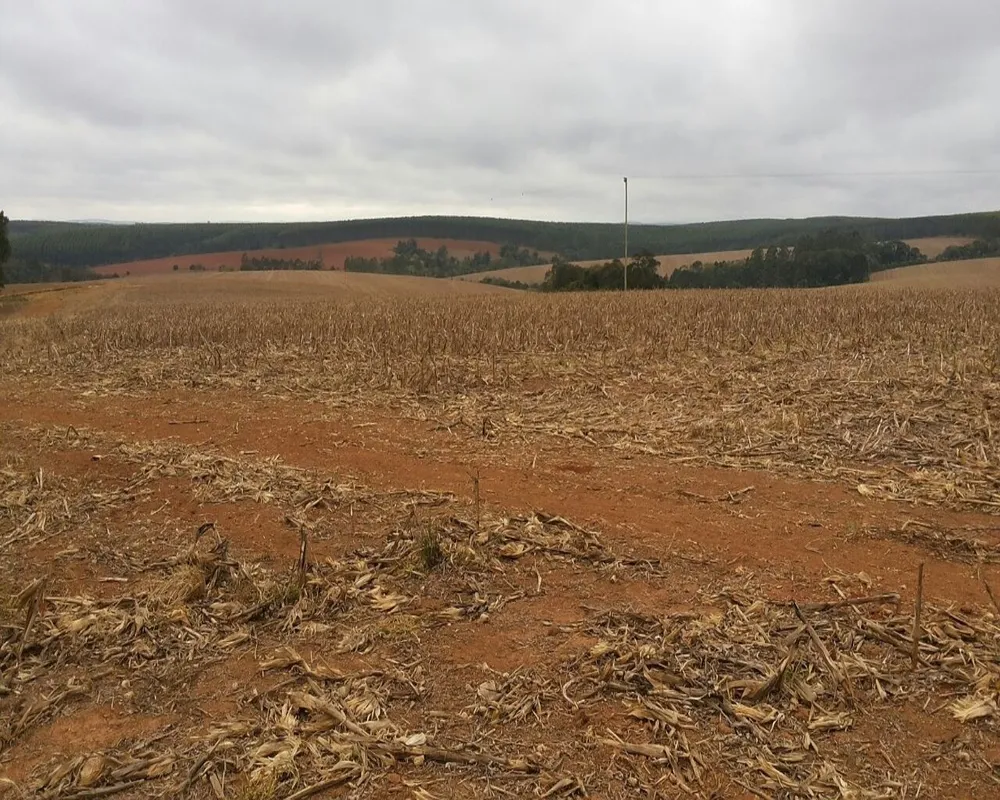 Fazenda - Foto 6