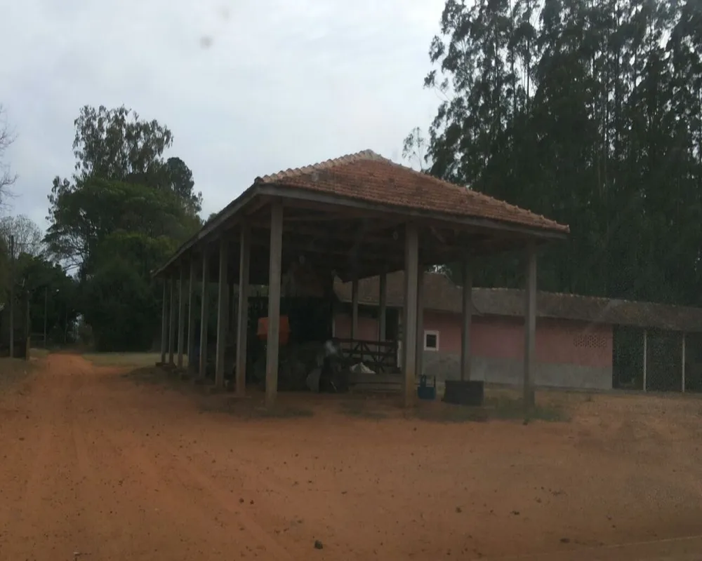 Fazenda - Foto 5