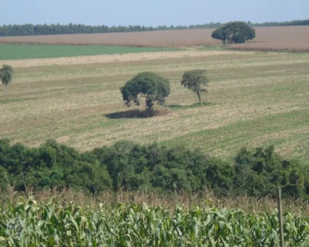 Fazenda - Foto 1