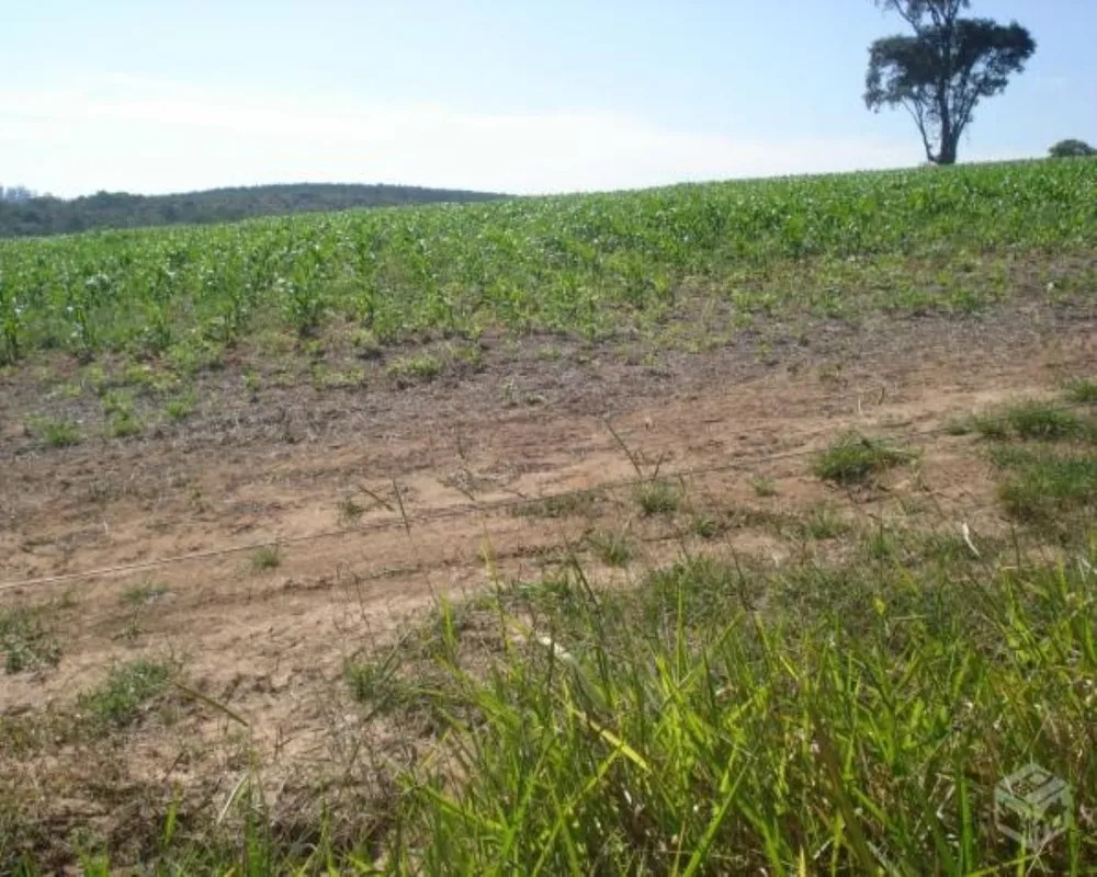 Fazenda - Foto 2