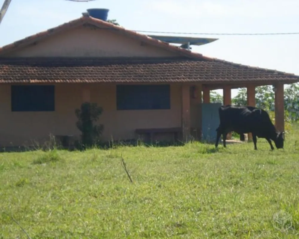 Fazenda - Foto 7