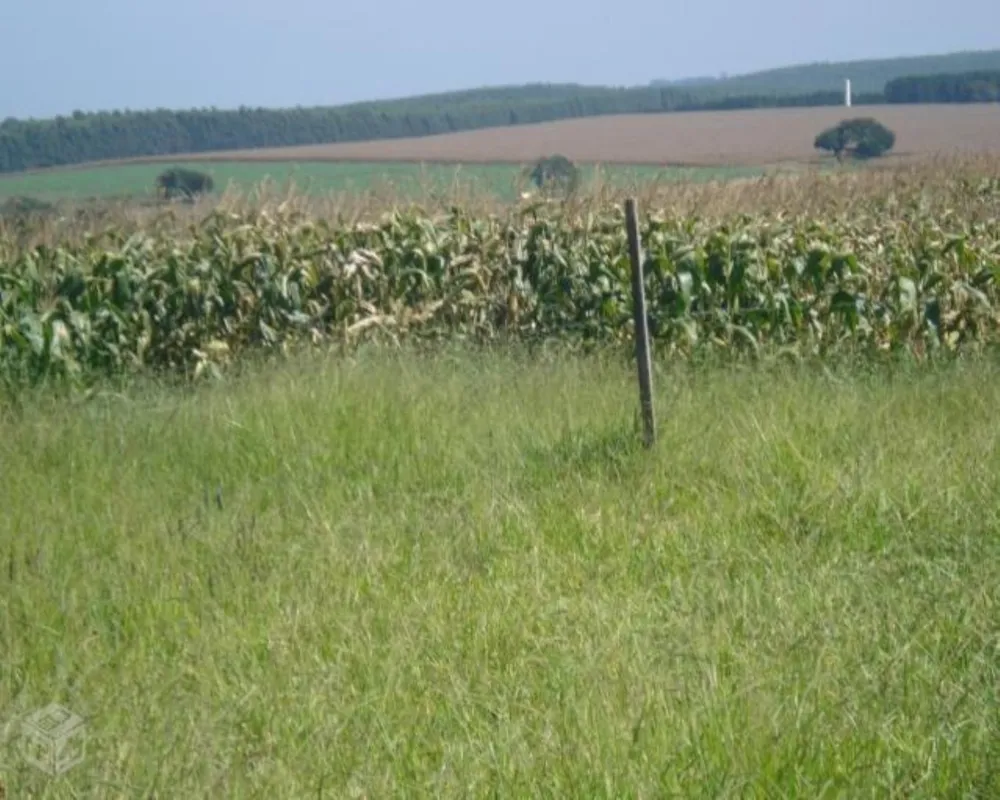 Fazenda - Foto 6