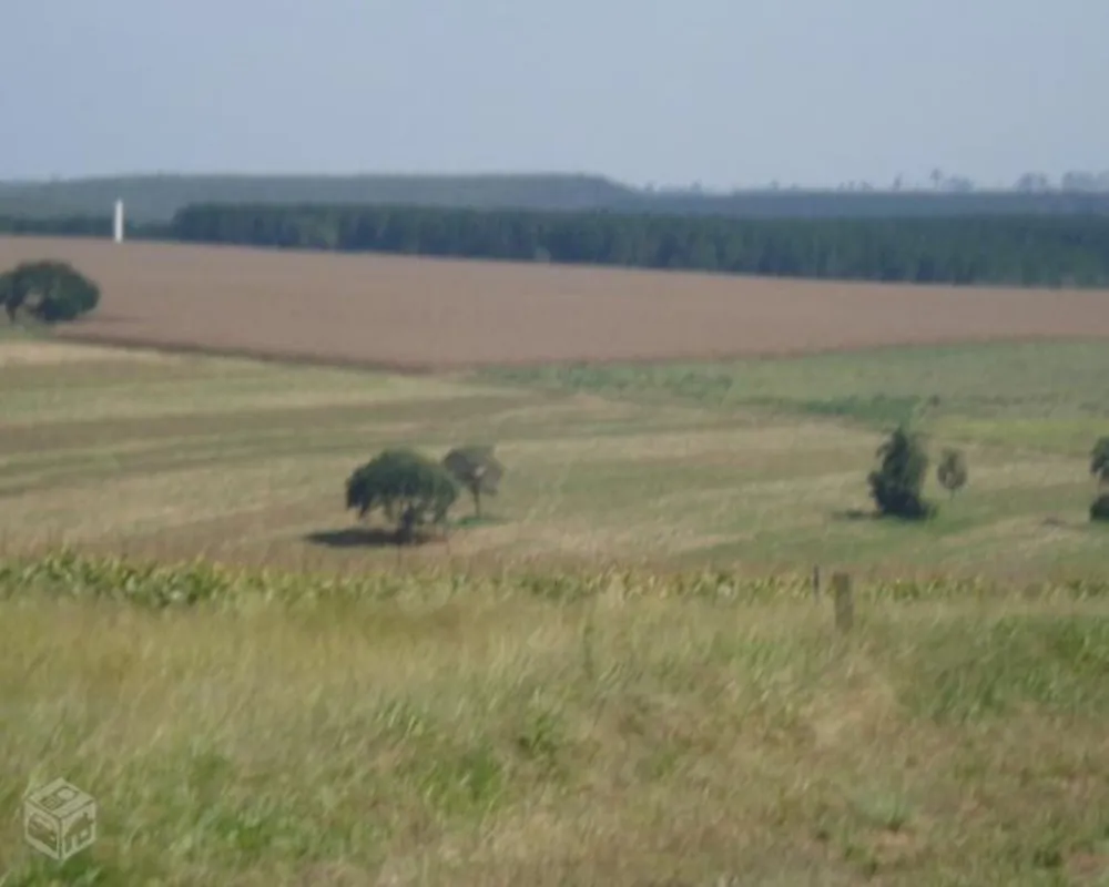 Fazenda - Foto 8